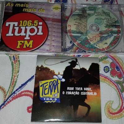 Fotos de Trabalhos Licionina Barreto.